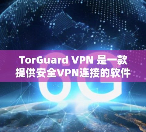 TorGuard VPN 是一款提供安全VPN连接的软件，支持多种网络选择，提供稳定且可靠的网络连接。以下是安装 TorGuard VPN 的步骤