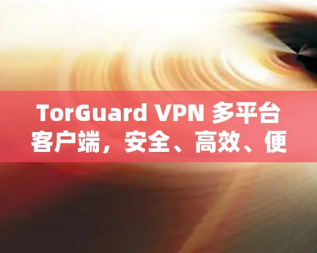 TorGuard VPN 多平台客户端，安全、高效、便捷的网络传输解决方案