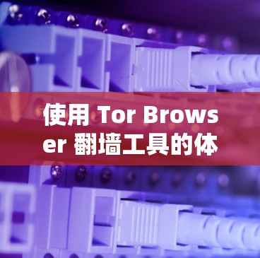 使用 Tor Browser 翻墙工具的体验可以分为以下几个方面 使用 Tor Browser 翻墙工具的体验可以分为以下几个方面