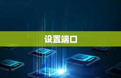 设置端口
