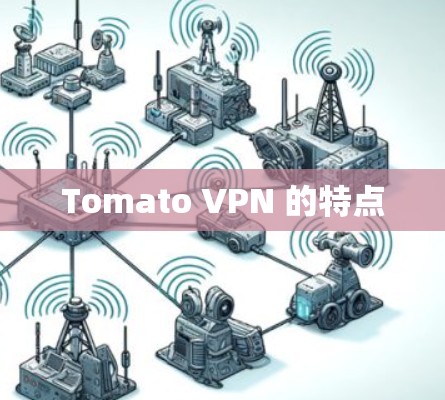 Tomato VPN 的特点