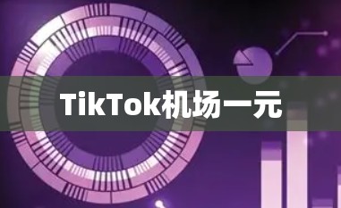 TikTok机场一元