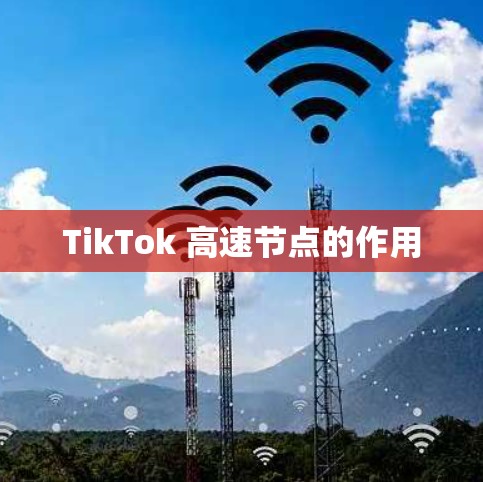 TikTok 高速节点的作用 TikTok 高速节点的作用