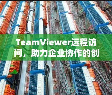 TeamViewer远程访问，助力企业协作的创新解决方案