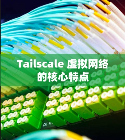 Tailscale 虚拟网络的核心特点 Tailscale 虚拟网络的核心特点