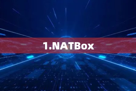 1.NATBox