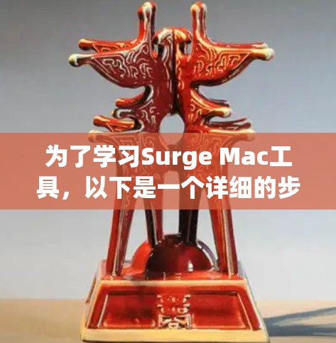 为了学习Surge Mac工具，以下是一个详细的步骤指南