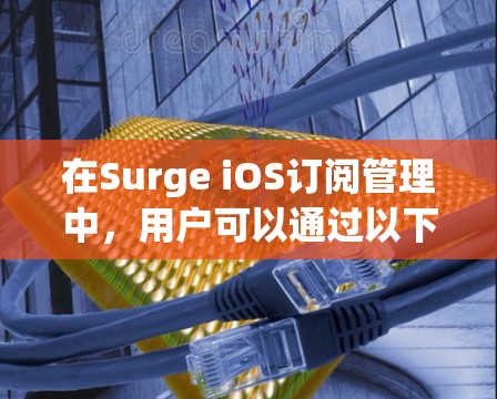 在Surge iOS订阅管理中,用户可以通过以下步骤管理他们的订阅 在Surge iOS订阅管理中,用户可以通过以下步骤管理他们的订阅