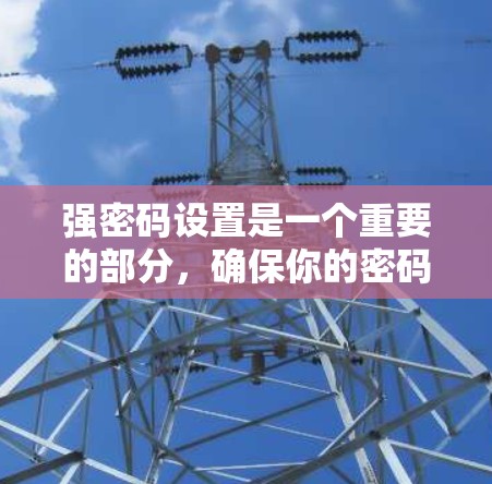 强密码设置是一个重要的部分，确保你的密码安全和信任。以下是一些关于强密码设置的详细信息，帮助你更好地管理你的密码