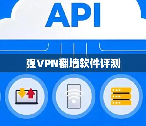 强VPN翻墙软件评测