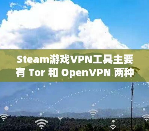 Steam游戏VPN工具主要有 Tor 和 OpenVPN 两种。以下是详细的步骤指南