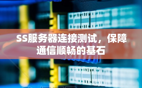 SS服务器连接测试，保障通信顺畅的基石