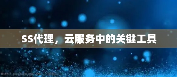 SS代理,云服务中的关键工具 SS代理,云服务中的关键工具