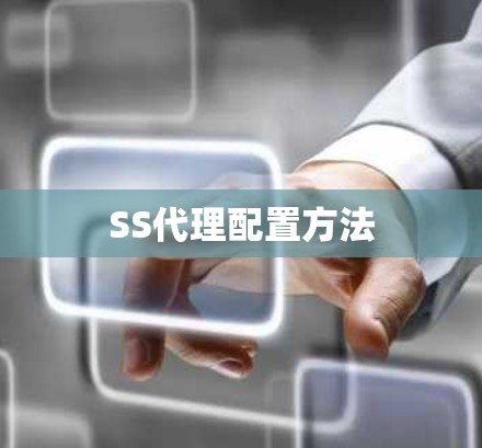 SS代理配置方法
