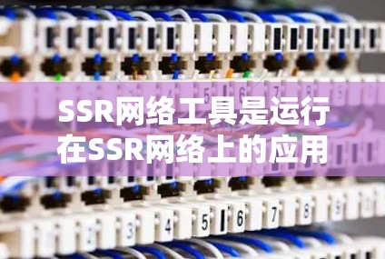 SSR网络工具是运行在SSR网络上的应用程序，它们在SSR网络中负责存储、管理、同步和管理数据。以下是详细的步骤和信息