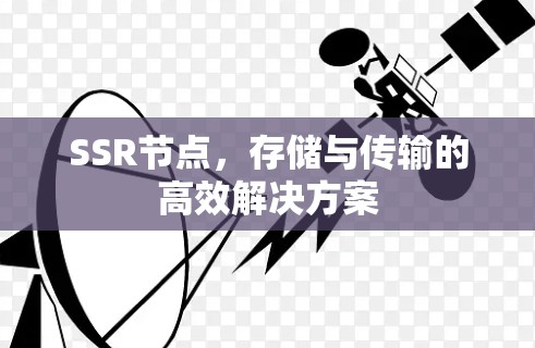 SSR节点，存储与传输的高效解决方案