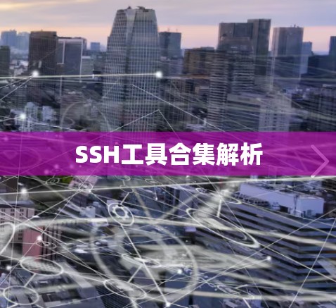 SSH工具合集解析
