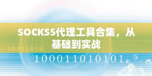 SOCKS5代理工具合集，从基础到实战
