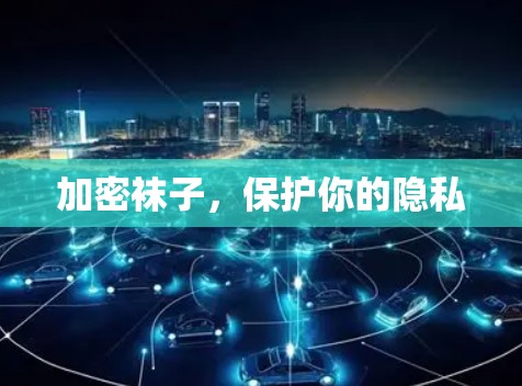 加密袜子，保护你的隐私