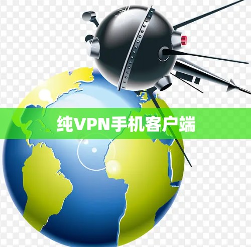 纯VPN手机客户端