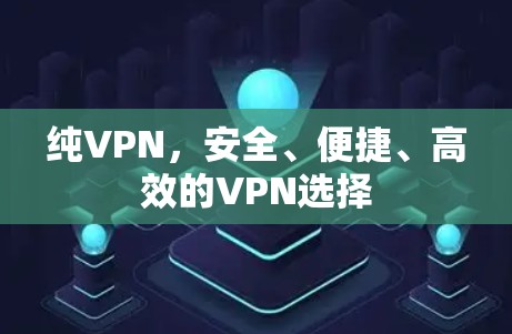 纯VPN,安全、便捷、高效的VPN选择 纯VPN,安全、便捷、高效的VPN选择