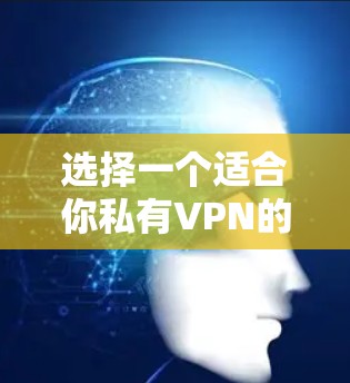 选择一个适合你私有VPN的服务器类型需要综合考虑多个因素。以下是详细的分析和建议,帮助你做出明智的选择 选择一个适合你私有VPN的服务器类型需要综合考虑多个因素。以下是详细的分析和建议,帮助你做出明智的选择