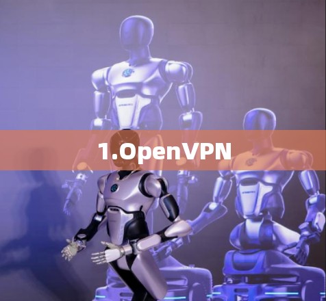 1.OpenVPN 1.OpenVPN