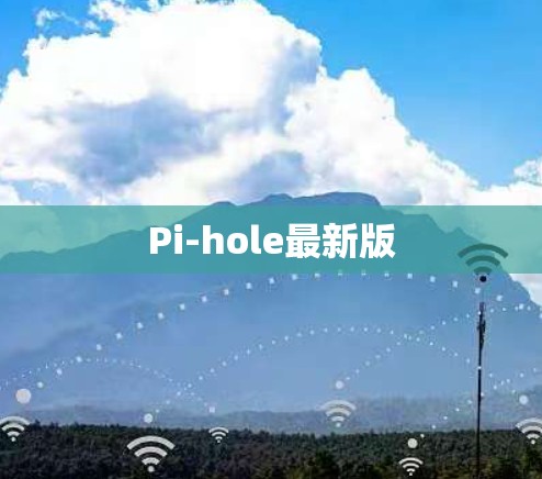 Pi-hole最新版