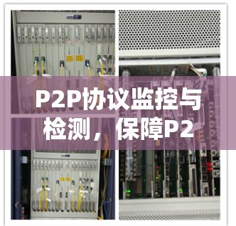 P2P协议监控与检测,保障P2P网络安全与健康 P2P协议监控与检测,保障P2P网络安全与健康