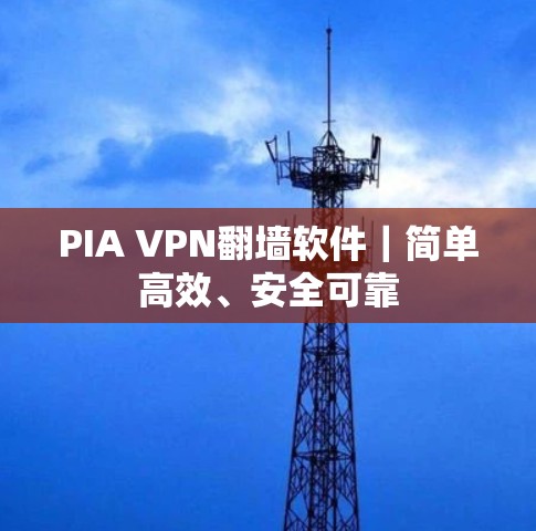PIA VPN翻墙软件|简单高效、安全可靠 PIA VPN翻墙软件|简单高效、安全可靠