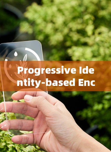 Progressive Identity-based Encryption VPN for Android App