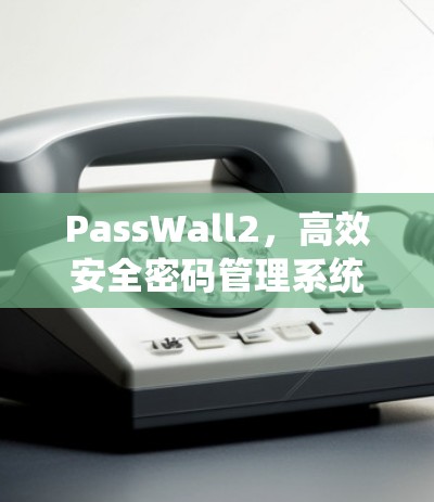 PassWall2，高效安全密码管理系统—使用指南