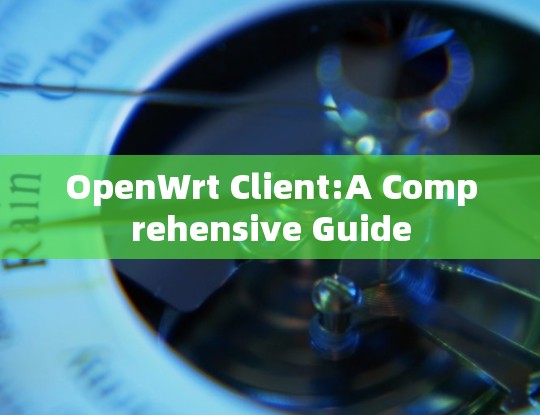 OpenWrt Client:A Comprehensive Guide