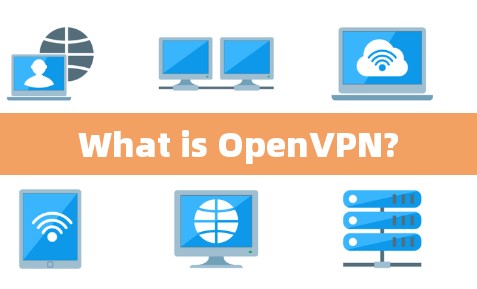 What is OpenVPN? What is OpenVPN?