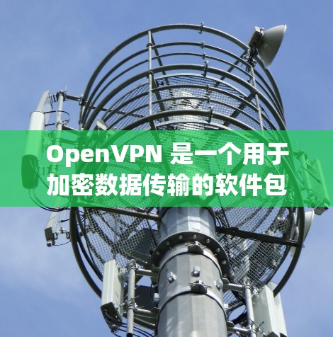 OpenVPN 是一个用于加密数据传输的软件包，主要在Windows上使用。以下是安装 OpenVPN 的步骤