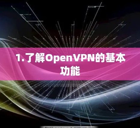 1.了解OpenVPN的基本功能