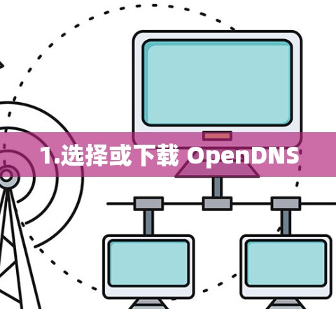 1.选择或下载 OpenDNS