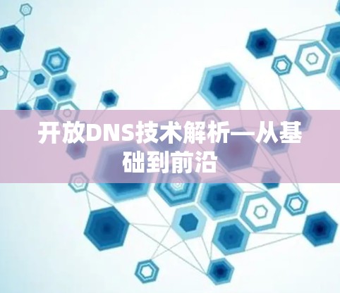 开放DNS技术解析—从基础到前沿