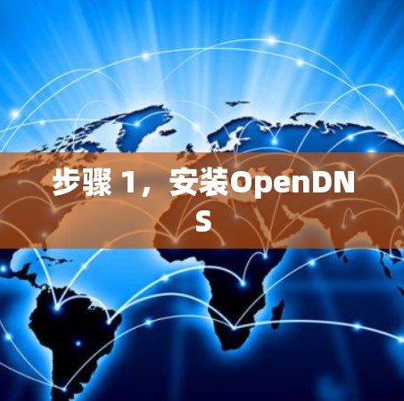步骤 1，安装OpenDNS