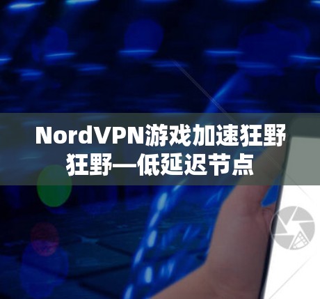 NordVPN游戏加速狂野狂野—低延迟节点