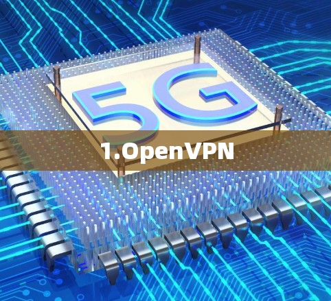 1.OpenVPN 1.OpenVPN