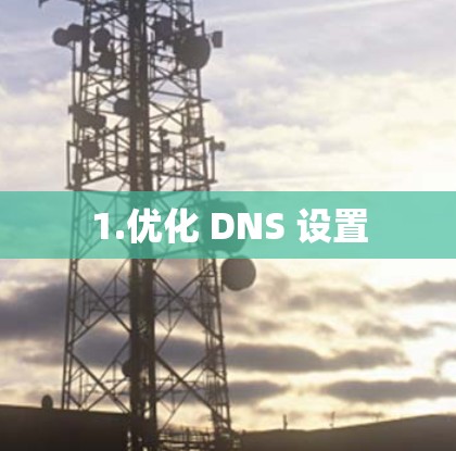1.优化 DNS 设置 1.优化 DNS 设置
