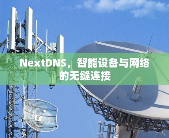 NextDNS,智能设备与网络的无缝连接 NextDNS,智能设备与网络的无缝连接