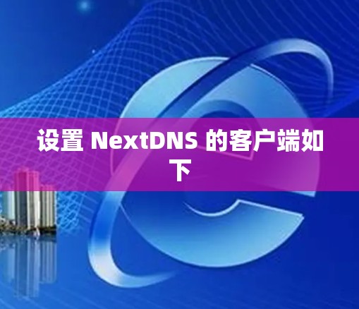 设置 NextDNS 的客户端如下 设置 NextDNS 的客户端如下