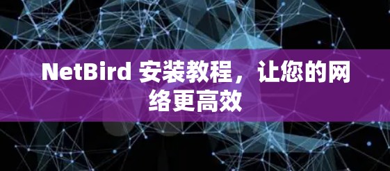 NetBird 安装教程,让您的网络更高效 NetBird 安装教程,让您的网络更高效