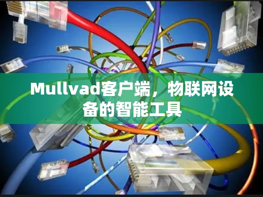 Mullvad客户端,物联网设备的智能工具 Mullvad客户端,物联网设备的智能工具