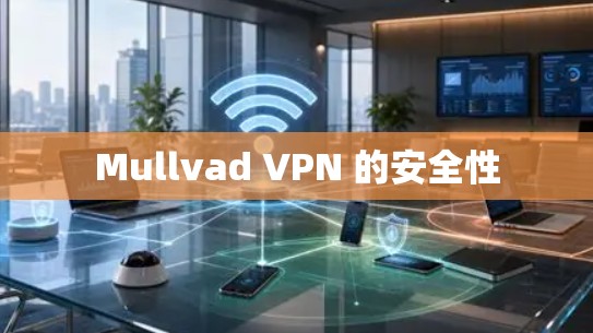 Mullvad VPN 的安全性