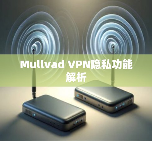 Mullvad VPN隐私功能解析 Mullvad VPN隐私功能解析