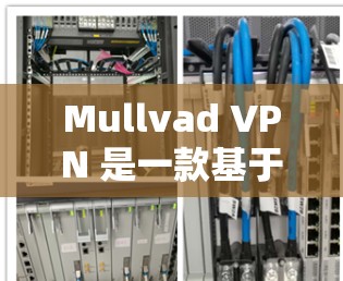 Mullvad VPN 是一款基于 ZKAPY 的 VPN 解决方案，主要用于保护网络访问，提供加密通信。以下是逐步的安装步骤
