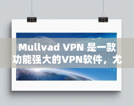 Mullvad VPN 是一款功能强大的VPN软件,尤其适合需要复杂的网络配置和安全需求的用户。以下是几款推荐的Mullvad VPN 软件,根据不同的需求和配置选择不同版本 Mullvad VPN 是一款功能强大的VPN软件,尤其适合需要复杂的网络配置和安全需求的用户。以下是几款推荐的Mullvad VPN 软件,根据不同的需求和配置选择不同版本